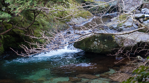 Shiratani Unsuikyo 白谷雲水峡, Yakushima 屋久島