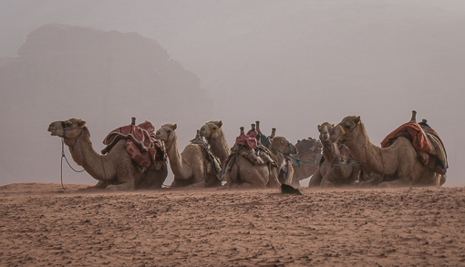 Wadi Rum, Jordan – part 2