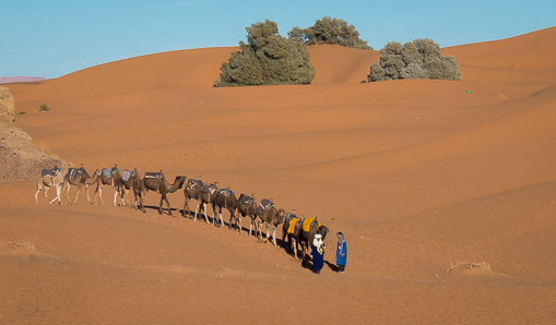 Glamping Erg Chebbi, Morocco