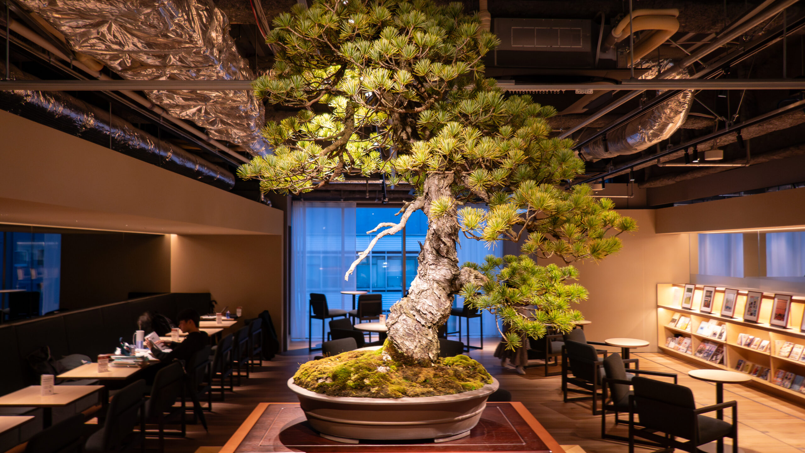 Tsutaya’s Share Lounge – an Urban Oasis in Kyoto